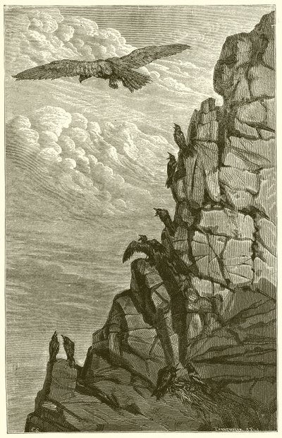 Der Adler und die Krähe von Ernest Henry Griset