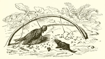 Der Vogelfänger und die Lerche von Ernest Henry Griset