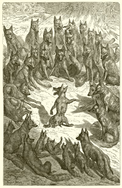 Der Fuchs ohne Schwanz von Ernest Henry Griset