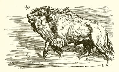 Die Mücke und der Stier von Ernest Henry Griset