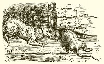 Die Maus und das Wiesel von Ernest Henry Griset