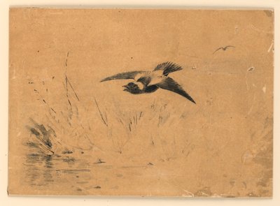 Bobolink von Ernest Thompson Seton