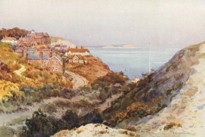 Boscombe Chine von Ernest William Haslehust