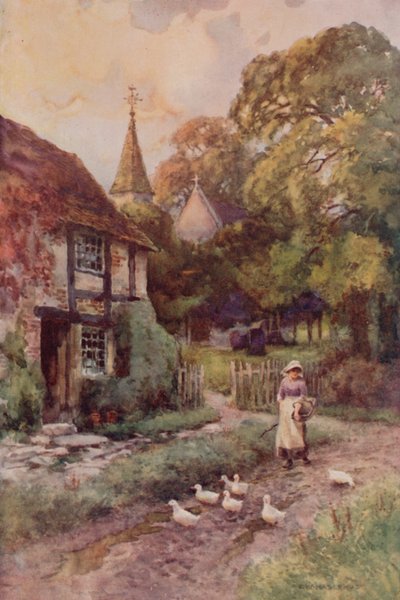 Papist Wixford von Ernest William Haslehust