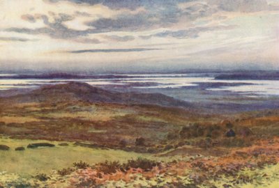 Poole von den Swanage Golf Links von Ernest William Haslehust