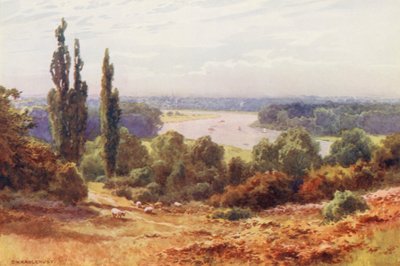Themse: Die Themse, von Richmond Hill von Ernest William Haslehust