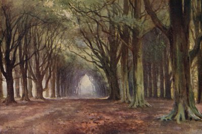 Die Buchenallee, Thoresby von Ernest William Haslehust