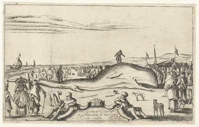 Gestrandeter Wal am Strand von Noordwijk, 1614 von Esaias van de Velde