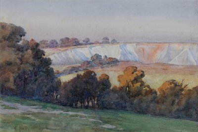 Coulsdon-Steinbruch von Farthing Downs von Ethel Hall