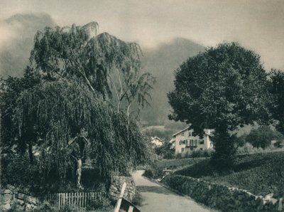 Straße zum Schloss Tirol, Meran, Südtirol, Italien, 1927 von Eugen Poppel