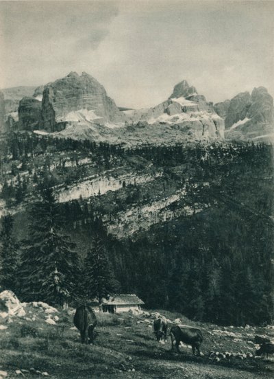 Blick auf die Brenta-Gruppe mit Almwiese, Madonna di Campiglio, Dolomiten, Italien von Eugen Poppel