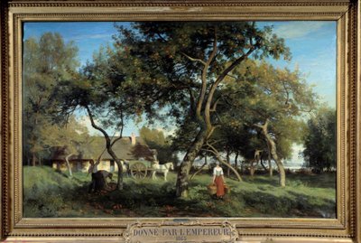 Äpfelpflücken in der Normandie im Jahr 1865 von Eugene Antoine Samuel Lavieille