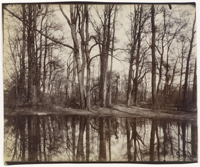 Saint-Cloud (Gärten des Schlosses von Philippe, Herzog von Orléans) von Eugène Atget