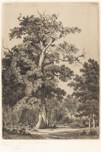 Alter Eiche im Bois de Boulogne von Eugene Bléry