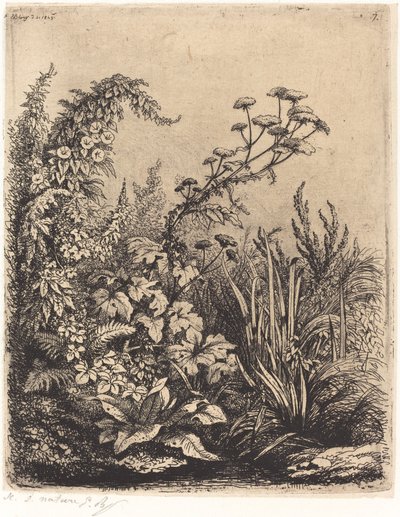 Kleine Wasserpetersilie mit Winde von Eugene Bléry