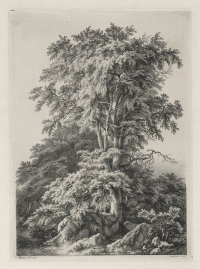 Studien nach der Natur gezeichnet und graviert: Der Strand, Fontainebleau..., 1840 von Eugene Bléry