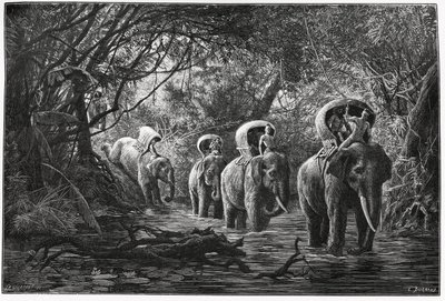 Auf dem Weg in den Wald, die Expedition reist auf dem Rücken eines Elefanten. Gravur von Eugene Burnand zur Illustration der Geschichte "Reise in Oberlaos", 1880, von Dr. P. Neis. Veröffentlicht in Le Tour du Monde, nouveau journal des voyages, 2. Semester von Eugene Burnand