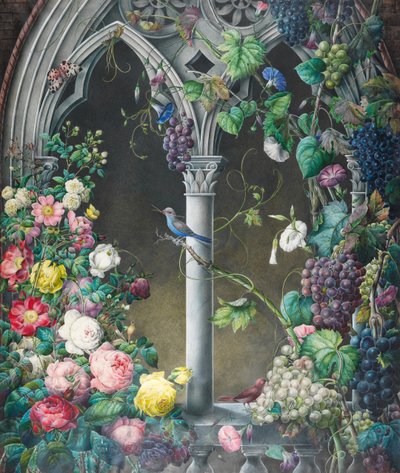Rosensträuße, Ipomoea und Weinreben, um eine Arkade in einem fantasievollen gotischen Stil, zwei Vögel, unbekannte Art, und ein Tigermotte von Eugene Joseph Prevost