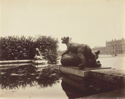 Versailles, Fontaine du Point du Jour, Tiger besiegt einen Bären von Houzeau, 1903 von Eugène Atget