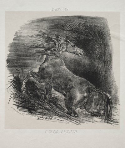 Das wilde Pferd oder erschrockenes Pferd verlässt das Wasser von Eugène Delacroix