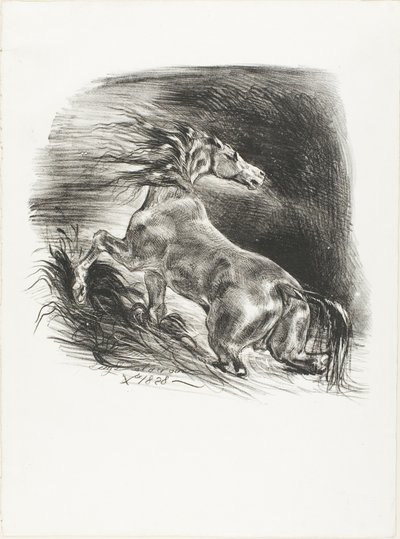 Wildes Pferd oder verängstigtes Pferd verlässt das Wasser von Eugène Delacroix