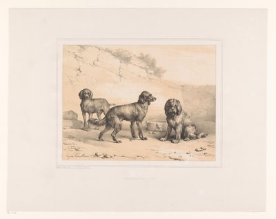 Drei Hunde von Eugène Verboeckhoven