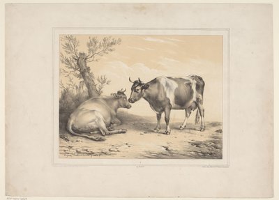 Zwei Kühe (Diverse zahme Tiere) (Treize sujets d