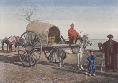 Bukhara-Wagen in Bewegung von European Photographer