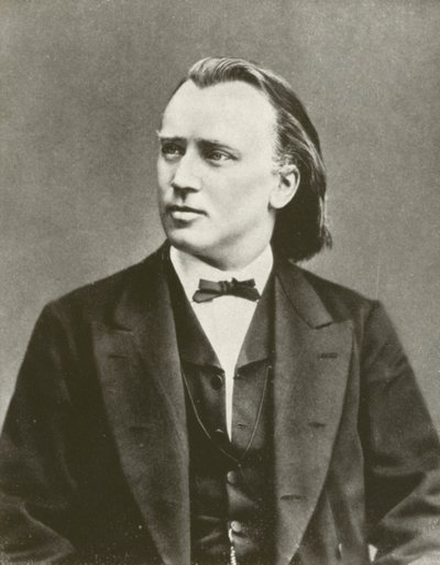Johannes Brahms, Porträt, ca. 1876 von European Photographer