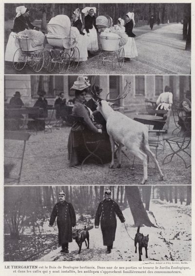 Der Tiergarten von European Photographer