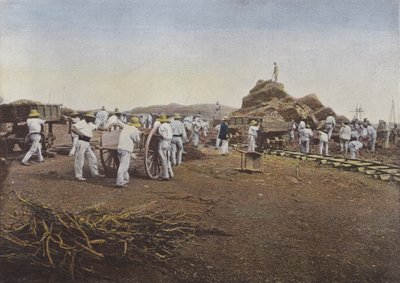 Die Verurteilten bei der Arbeit, Noumea von European Photographer
