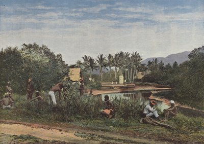 Anlegestelle in Canala von European Photographer