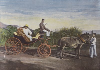 Kolonialwagen von European Photographer