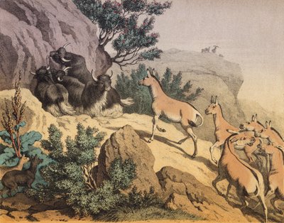 Eine Wüste in Zentralasien von European School