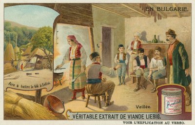 Eine Nachtwache und das Weizendreschen in Secke von European School