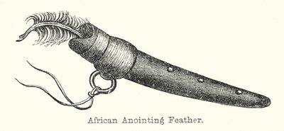 Afrikanische Salbungsfeder von European School