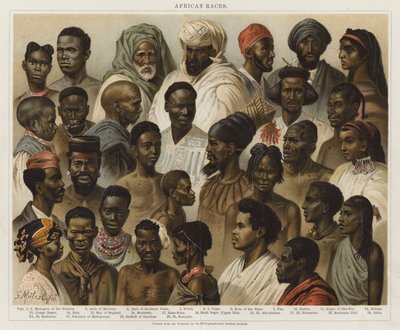 Afrikanische Rassen von European School