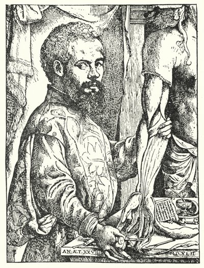 Andreas Vesalius von European School