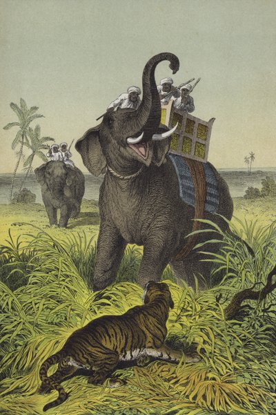 Tiere und Pflanzen von Indien von European School