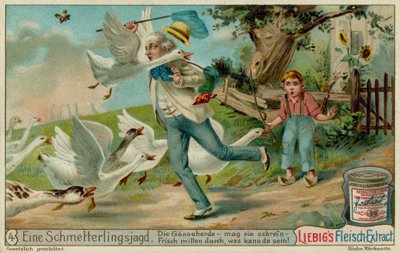 Schmetterlingsjagd und Gänse von European School