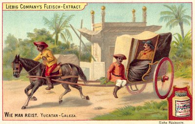 Caleza auf der Halbinsel Yucatán von European School