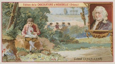 Carl von Linné, schwedischer Botaniker und Zoologe von European School