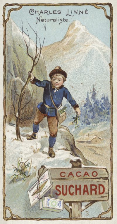 Carl von Linné, schwedischer Botaniker und Zoologe, als Kind von European School