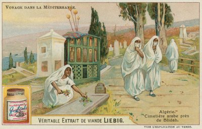 Friedhof in der Nähe von Blida in Algerien von European School