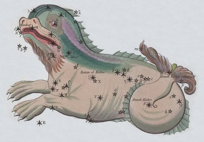 Cetus (Farblithographie) von European School