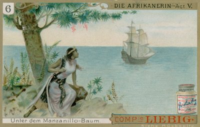 Die Afrikanerin: Akt 5 von European School