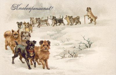 Hund Postkarte von European School
