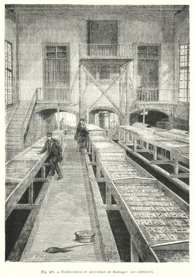 Fischzuchtanlage von Huningue, Innenansicht von European School