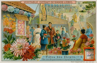 Feste der Chrysanthemen in Japan von European School