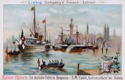 Galata am Bosporus von European School